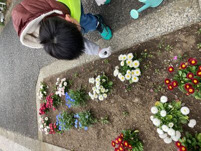 ごみを拾う画像