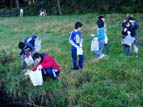 公園清掃