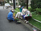 花壇づくりの画像