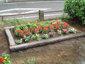 花壇の画像