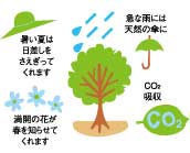 樹木の役割の画像