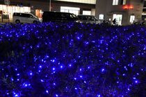 瀬谷駅南口駅前イルミネーションの様子２