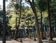 南台こどものもり公園の写真