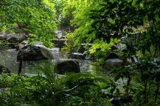 雨音が奏でる水辺写真