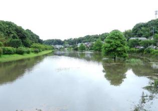 水が溜まった宮沢遊水地