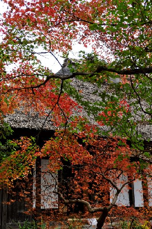 長屋門公園の秋