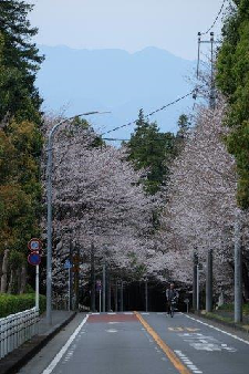 瀬谷区の山間部の写真