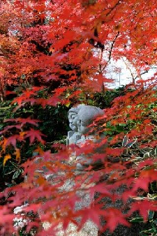 幸せな紅葉狩り