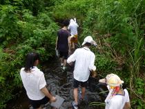 参加者が水辺を歩いている様子