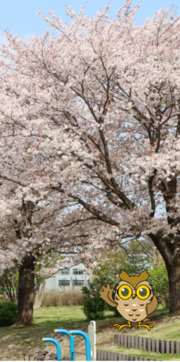 スマートフォン壁紙４月