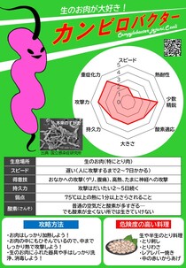 各食中毒の原因の