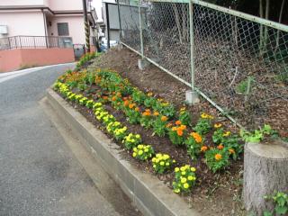 花の様子