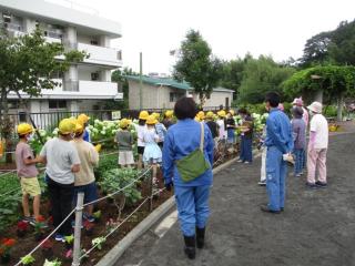 花植えの様子