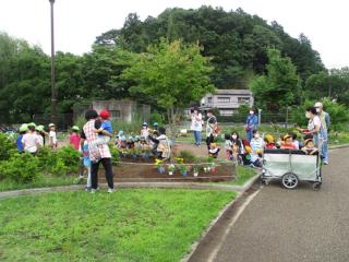 花植えの様子