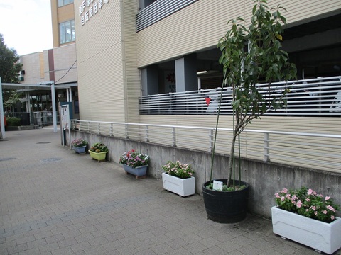 東戸塚駅西口プランター
