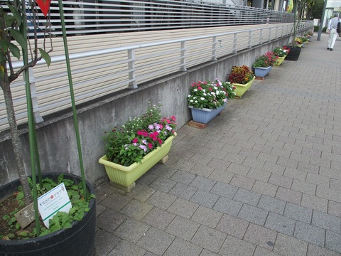 東戸塚駅西口プランター