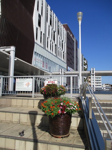 戸塚駅西口『花さかデッキ』