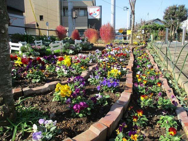 踊場駅花さかクラブ