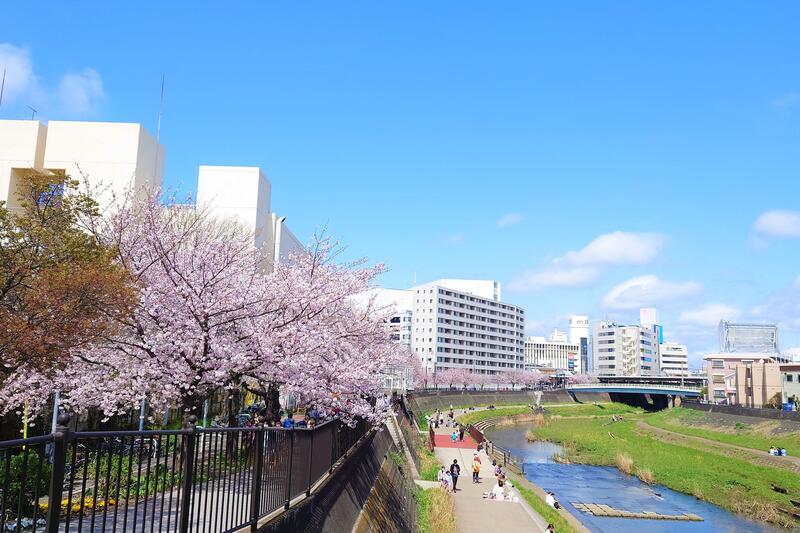 柏尾川