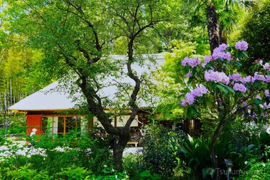 佳作「春の芽吹き」