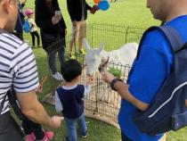 移動動物園