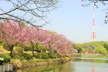 県立三ツ池公園の写真