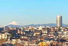 活動写真