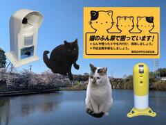 活動写真