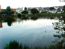 現在の二ツ池の様子の写真（駒岡町）