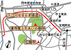 マップ