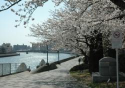 潮鶴橋水際緑道