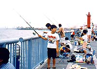 大黒海づり公園2