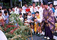 蛇も蚊も祭り2