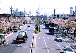 潮風大通り