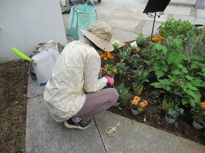 作業中