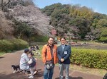 桜の様子