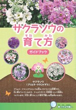 サクラソウの育て方ガイドブック