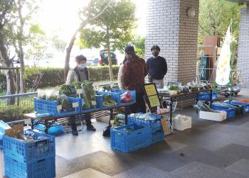 都筑野菜朝市様子