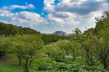 山田富士公園