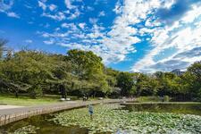 せせらぎ公園