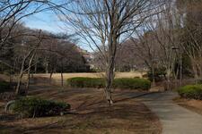 茅ケ崎公園